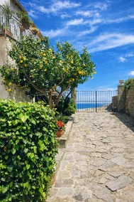 Rural House in Cilento National Park - Image 3
