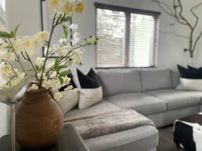 Modern and Luxe: Studio455 (+bikes) - Image 3