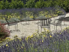 Private Lavender Garden · 3BR Near Travis AFB - Image 3