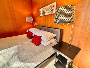 Cozy Midcentury Inspired GuestSuite w/Lots of Room - Image 5