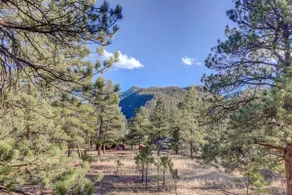Historic Pine Cabin | 45min to Denver | Pets OK - Image 5