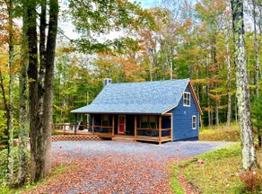 Charming cabin 5 min to Dolly Sods, Timberline Mtn - Image 4