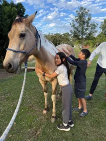 Brumbies Hollow Cabin Stay & Equine Experiences. - Image 2