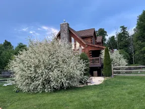 “Zakopane” Log House with Hot Tub - Clifford, PA - Image 2