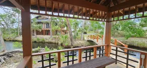 Tropical oasis - Image 3