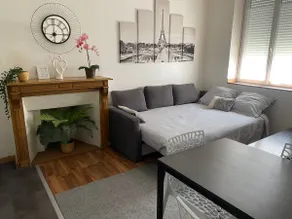Large air-conditioned 1-bedroom apartment in the Saint-André district - Image 2