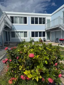 Beautifully Renovated and Steps to Sapphire Beach - Image 3