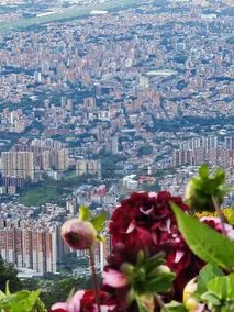 Beautiful house with the best view in Medellin - Image 3