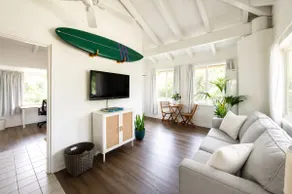 Rainbow Eucalyptus House + Private Yard - Image 4
