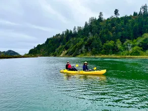 Lux Mendocino Retreat:Oceanview,Hot tub,Redwoods - Image 4