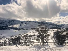 Perisher -Luxury Montagne Appartement - Image 3