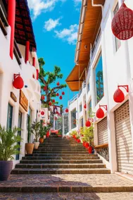 Tropical Retreat in Ponta Negra -5 min from the Beach - Image 3