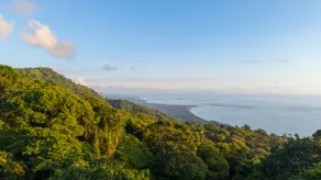 Ocean view, gated and private, 3 bdrs with 2 pools - Image 4