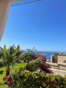 Bella Vista 1 Palase Green Coast - Image 2
