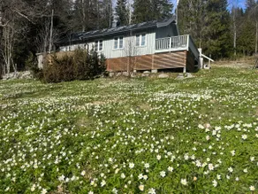 Cabin in Ringsaker - Image 2