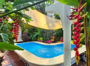 Villa Palmas - Private Tropical Paradise - Image 2