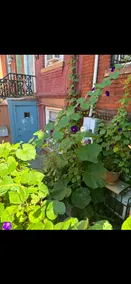 Garden Apartment Close to Manhattan - Image 3