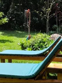 Sítio Vale das Aguias - Casa Alto do Vale - Image 4