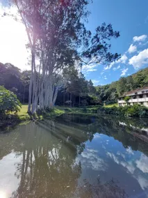 Sítio Vale das Aguias - Casa Alto do Vale - Image 5
