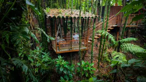 Paradisiacal Cabin-Jacuzzi, Pool & Gym La Fortuna - Image 4