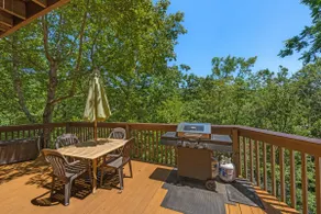 Overlooking the New River + Hot Tub + Jacuzzi - Image 3