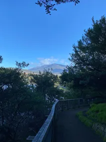 Cornelian bay hideaway - warm, water views - Image 2
