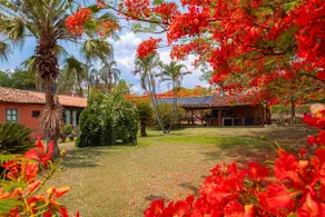 Chácara Lobo - Piscina Aquecida - Pirenópolis/GO - Image 3
