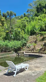 Mountain retreat: natural pool, waterfall and peace - Image 4