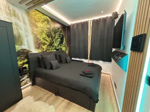 Charming room, sauna, jacuzzi, pool table / air conditioning - Image 3