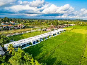 Green Flow Villa 1 Ubud ✦3BR ✦Rice fields View - Image 4