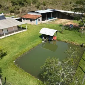 Pontal do Rio Pardo Farm - Image 5