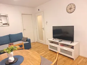Apartment Silvia Zagreb- Free Private Parking, - Image 4