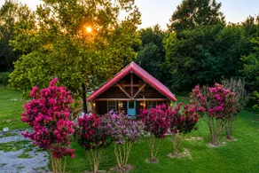 Bigfoot's Tiny Cabin | Hot Tub & BBQ + Parking - Image 5