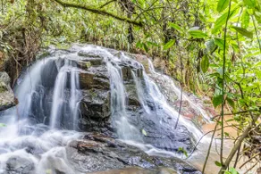 The Chapola Home 1 Jacuzzi-Cascada-Cine-Desayuno - Image 3