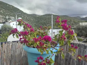 The unique blue and tranquility of Kaş! - Image 5