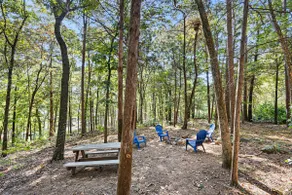Little Piney Cabin at the Foothills of Petit Jean Mountain. Close to State Park - Image 4