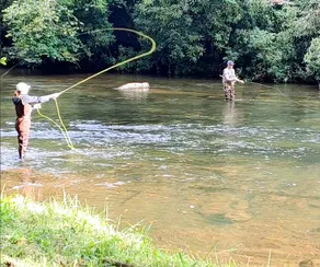 Right on River , Rainbow Trout , Hot Tub ,Wildlife - Image 2