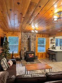 Secluded Cabin with Hot tub on spacious private lot - Image 5