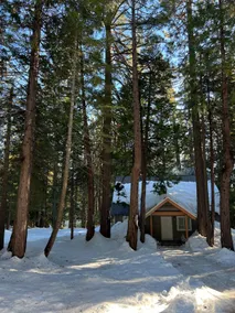 Secluded Cabin with Hot tub on spacious private lot - Image 4