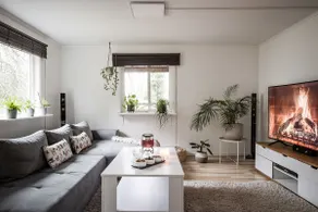 the Little Oasis In Gothenburg - Image 2