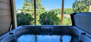 Marina View Lake Lanier Islands and Margaritaville - House w/ Hot Tub & Skeeball - Image 3