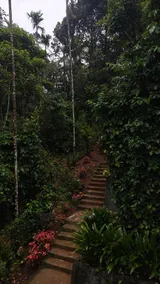Lake-view villa near Banasura Dam, Wayanad- Darpan - Image 5
