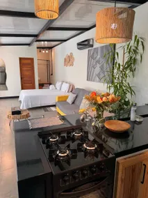 Private loft facing the forest, 220V for electric car - Image 2
