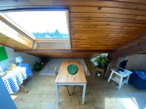Cozy Attic in the old town of Ferney Voltaire - Image 2