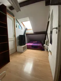 Cozy Attic in the old town of Ferney Voltaire - Image 3