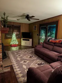 Blacklog Mountain Cabin - Image 3