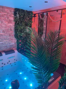 Jungle Love with Balneo Spa, 10 minutes from Disneyland - Image 4