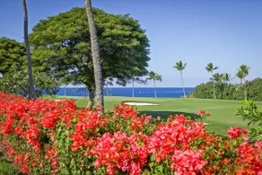 Oasis Kona Oceanview Villa| Pool, Spa & Pickleball - Image 5