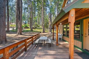 Toste Cabin- Spacious 3BR Cabin in East Village! - Image 5