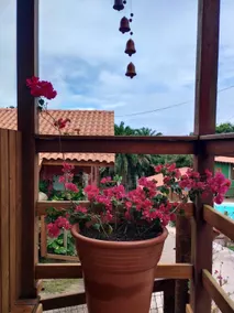 Casa Sempre Viva - Image 3